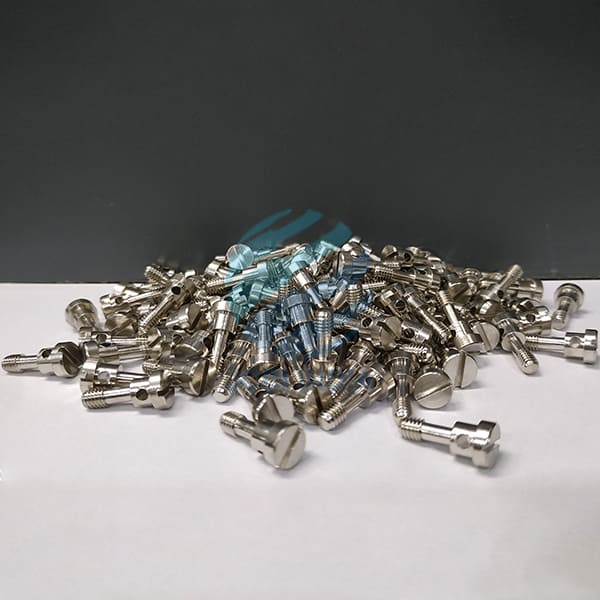 Brass Sealing Screw 4